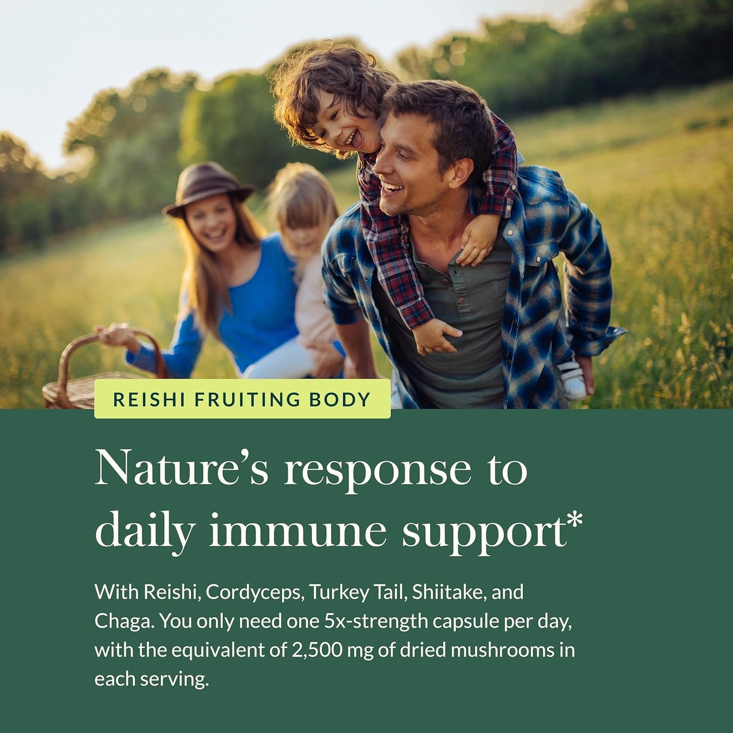 Gaia Herbs Immune Mushroom Blend - Vegan Capsules with Reishi, Cordyceps, Turkey Tail, Shiitake, and Chaga Mushrooms for Year-Round Health - Immune Support Supplement (40-Day Supply)
