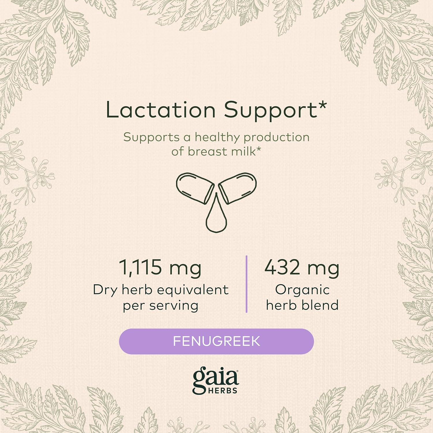 Gaia Herbs Lactation Support Capsules - Vegan Fenugreek & Fennel Seed Blend for Nursing Mothers - 120 Liquid Caps (40-Day Supply)
