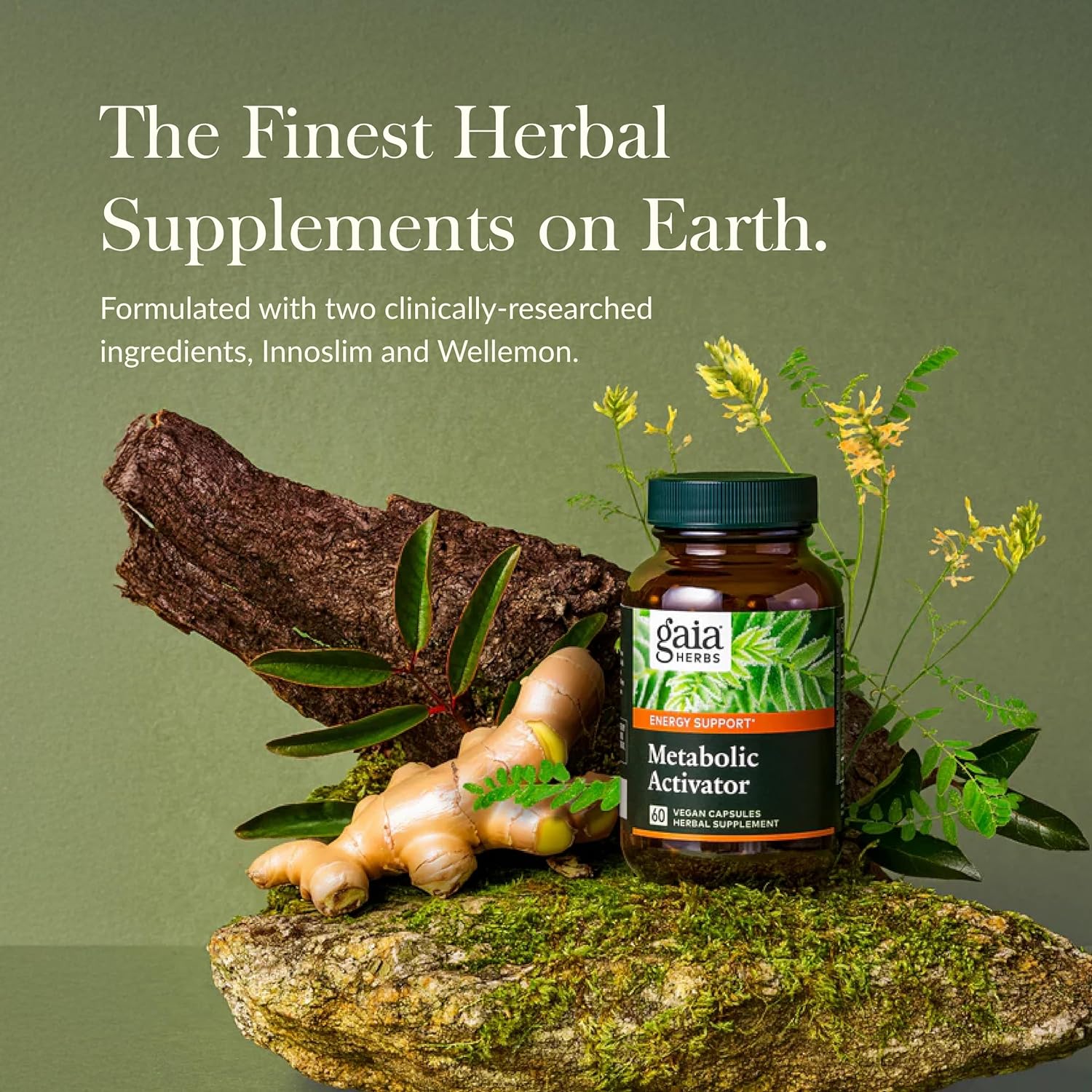 Gaia Herbs Metabolic Activator Capsules - Natural Energy Supplement with Panax Notoginseng & Astragalus Extract - Dairy, Soy, Gluten-Free - 60 Servings