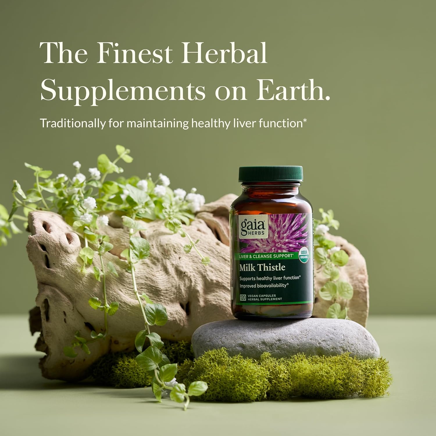 Gaia Herbs Milk Thistle Capsules - Vegan Liver Support Supplement for Healthy Liver Function - 120 Capsules