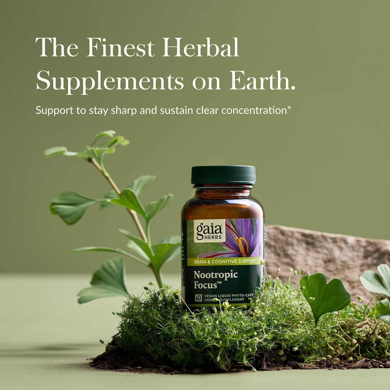 Gaia Herbs Nootropic Focus - Cognitive Support Supplement with Saffron, Lemon Balm & Spearmint - 40 Liquid Phyto-Capsules