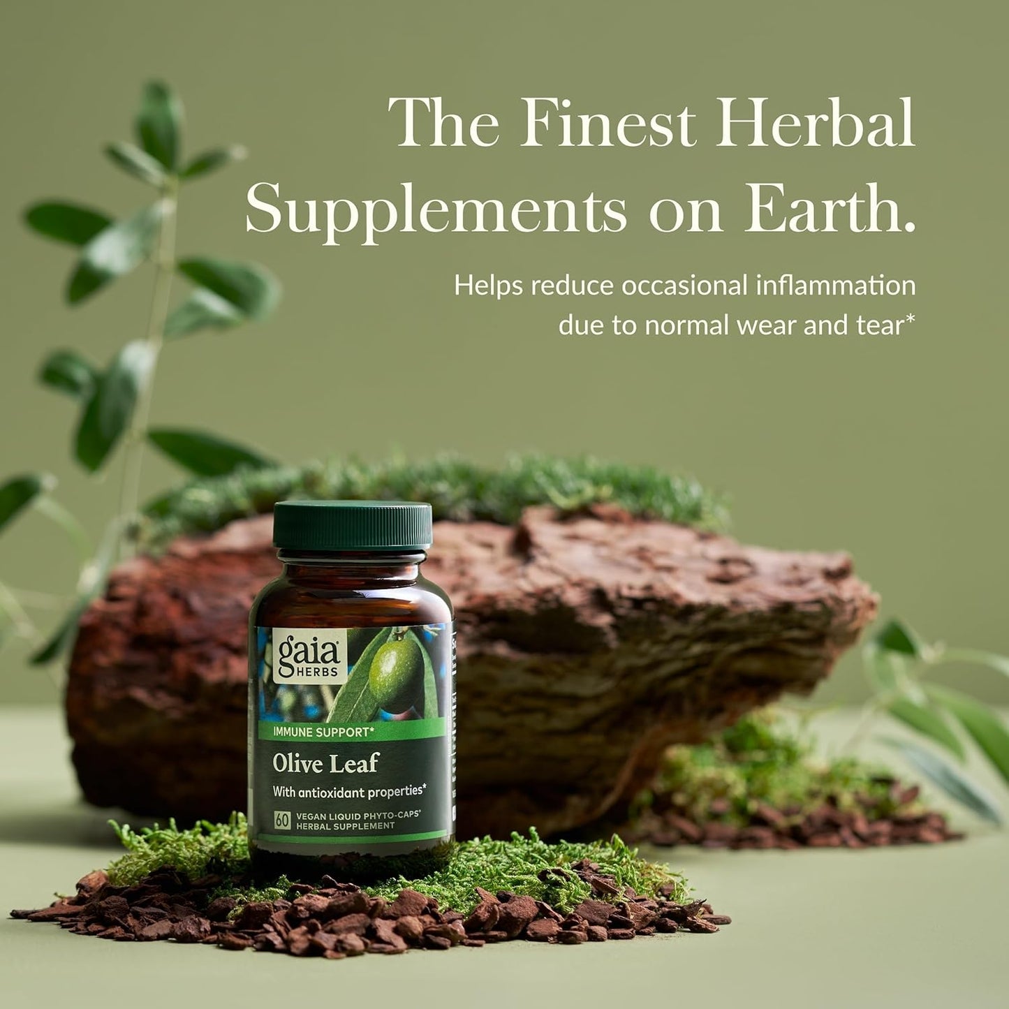 Gaia Herbs Olive Leaf Extract Supplement - Immune System Support - 60 Vegan Liquid Capsules with Oleuropein