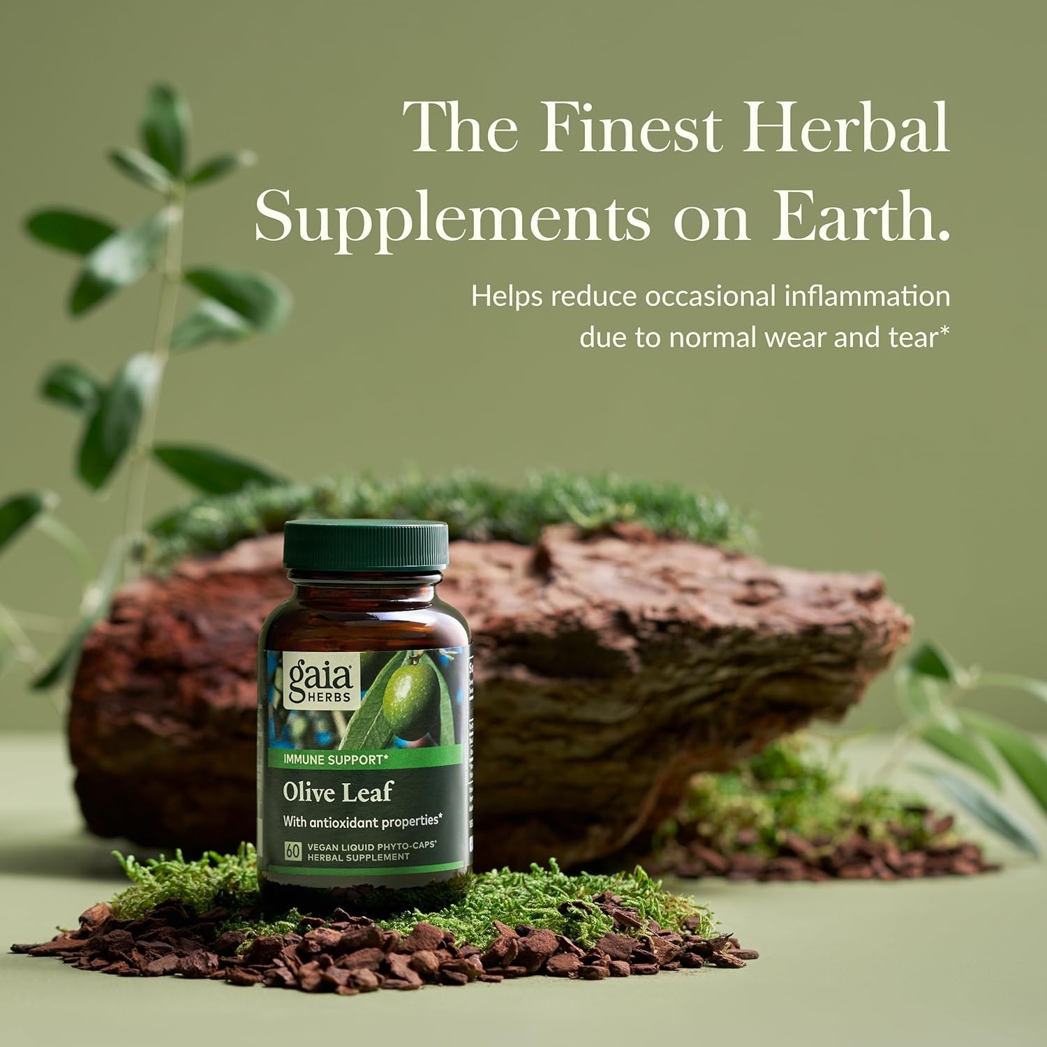 Gaia Herbs Olive Leaf Extract Supplement - Immune System Support - 60 Vegan Liquid Capsules with Oleuropein