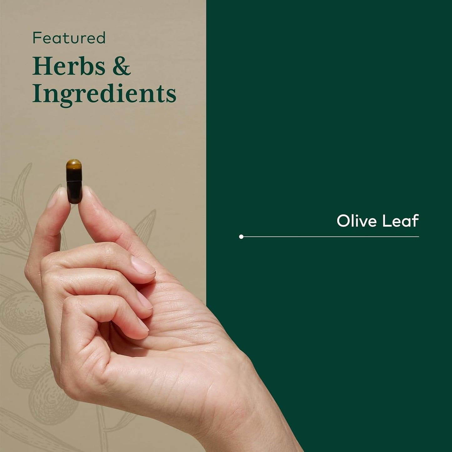 Gaia Herbs PRO Olive Leaf Extract - 1360 mg Immune Support Supplement