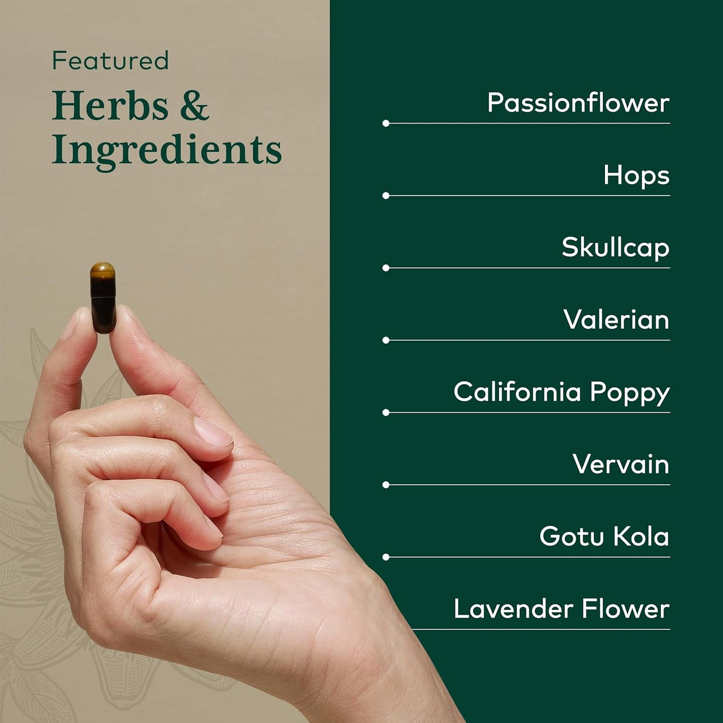 Gaia Herbs Professional Sleep Formula - 60 Liquid-Filled Capsules for Restful Sleep