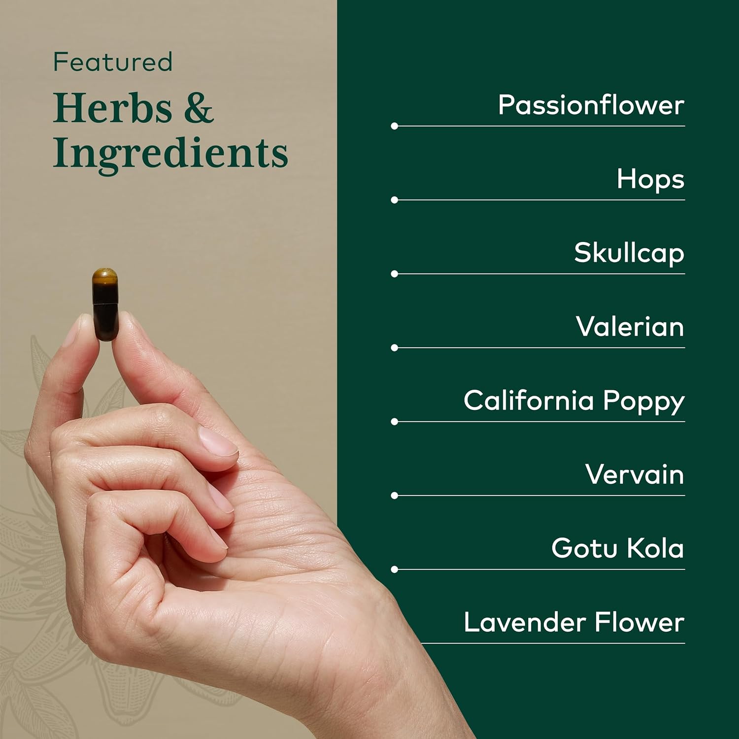 Gaia Herbs Professional Sleep Formula - 60 Liquid-Filled Capsules for Restful Sleep