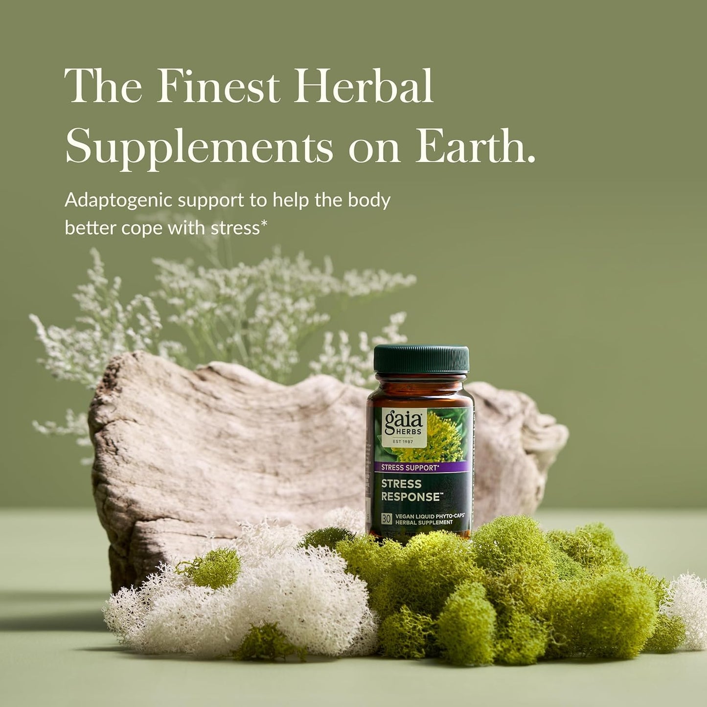 Gaia Herbs Stress Response Supplement - Natural Relaxation Support - Rhodiola, Holy Basil, Ashwagandha - 30 Vegan Liquid Capsules
