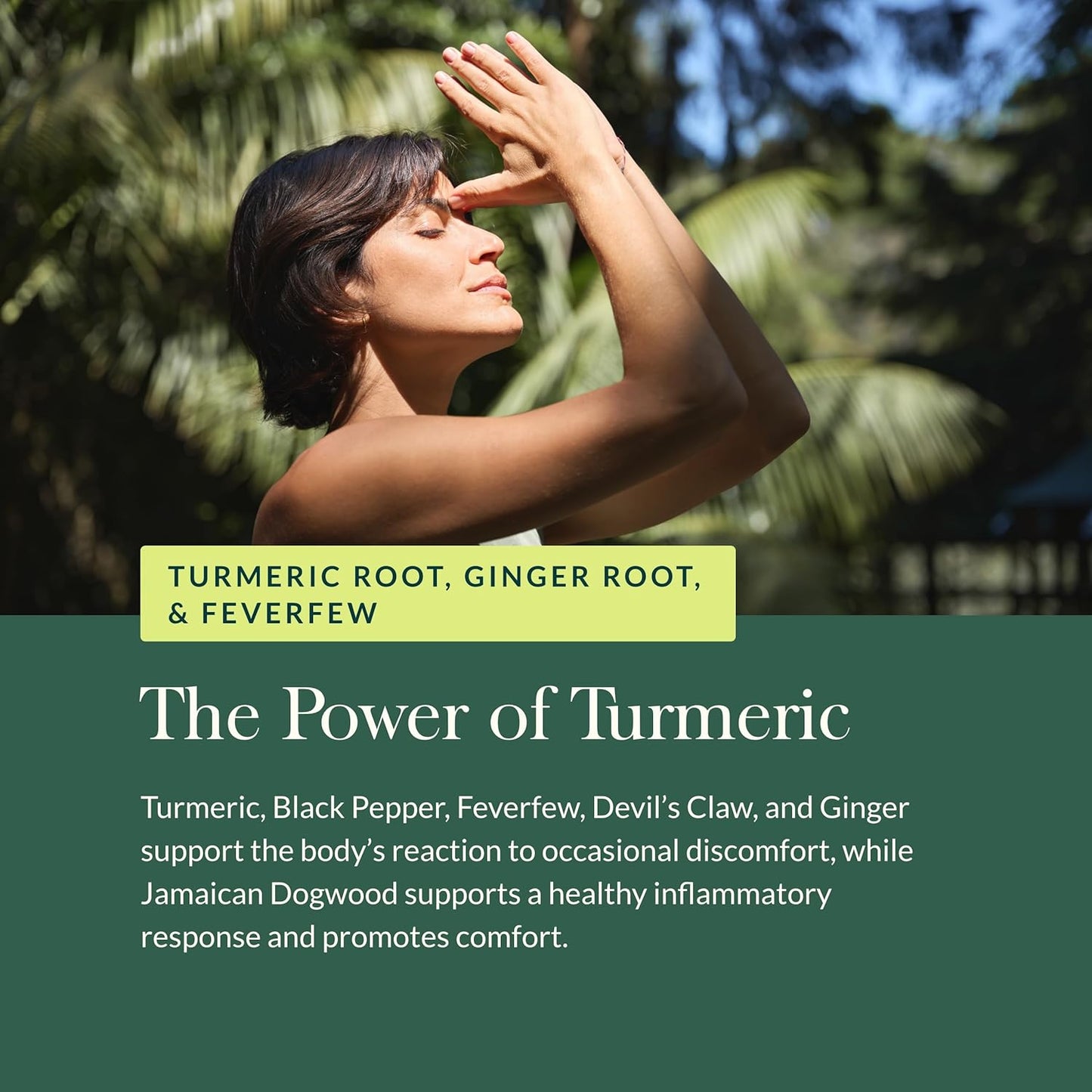 Gaia Herbs Turmeric Supreme Pain Relief Supplement - 120 Vegan Liquid Capsules