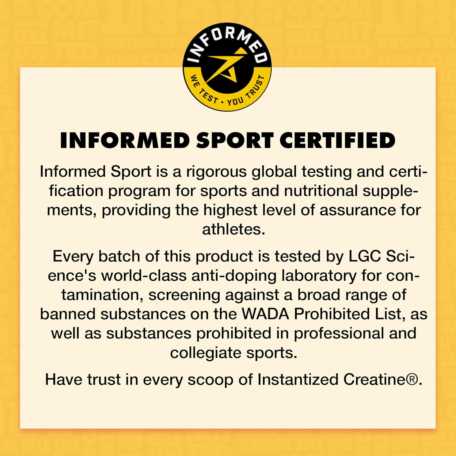 Gains in Bulk Instantized Creatine Monohydrate Powder - Pre Workout Supplement for Muscle Endurance and Energy, Soluble with No Bloating - 30 Servings
