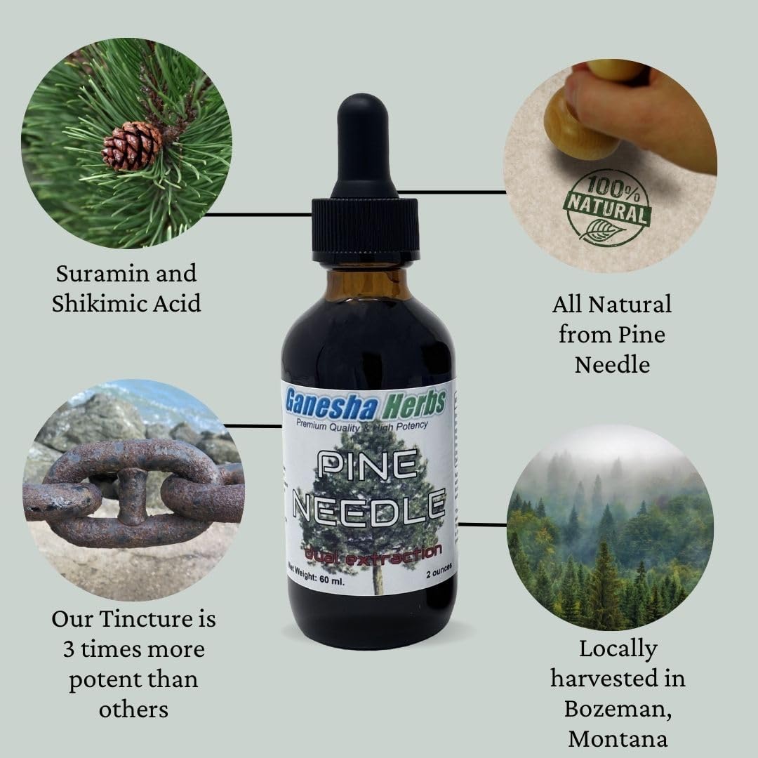 Ganesha Herbs Pine Needle Liquid Tincture Herbal Extract with Shikimic Acid - 2 Oz (2 Pack)