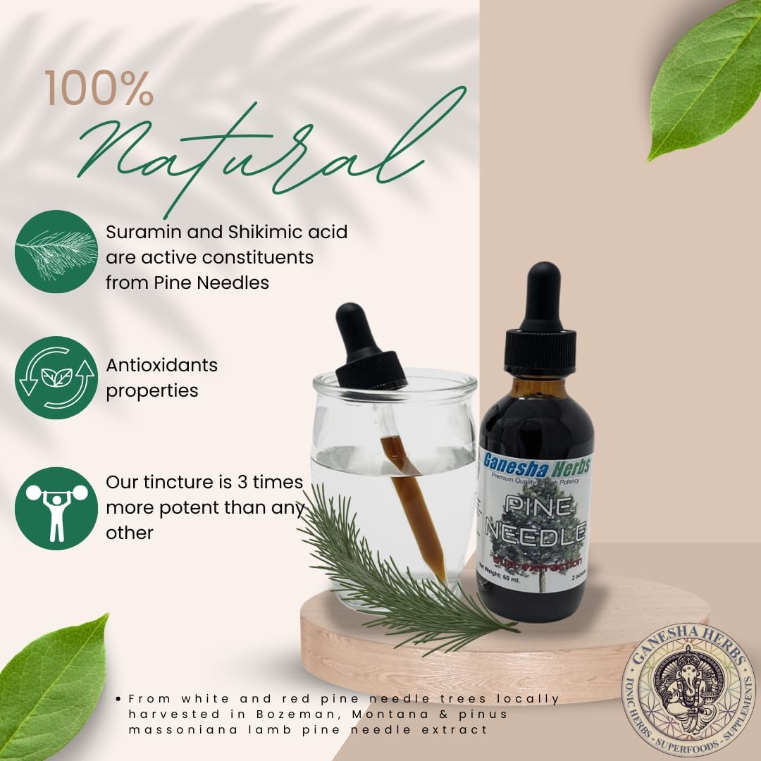 Ganesha Herbs Pine Needle Liquid Tincture Herbal Extract with Shikimic Acid - 2 Oz (2 Pack)