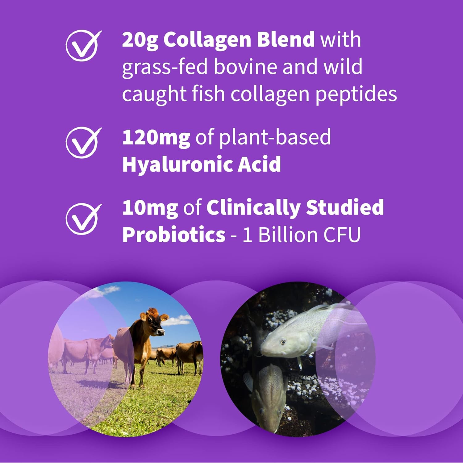 Garden of Life Collagen and Beets Bundle: Multi-Sourced Collagen with Hyaluronic Acid, Organic Detox Beets, Cranberry Pomegranate Flavor, Collagen Peptides Powder - 56 Servings