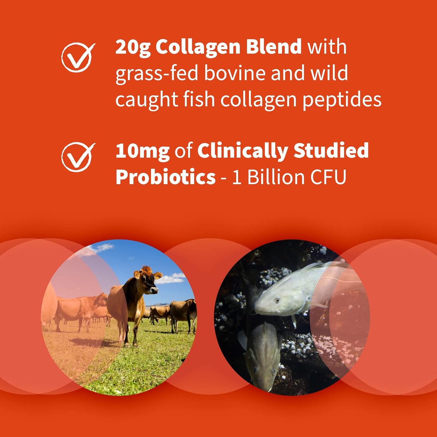 Garden of Life Collagen Bundle: Grass-Fed Peptides, Collagen Turmeric Apple Cinnamon, Multi-Sourced Unflavored Powder for Hair, Skin, Nails, Joints - 46 Servings