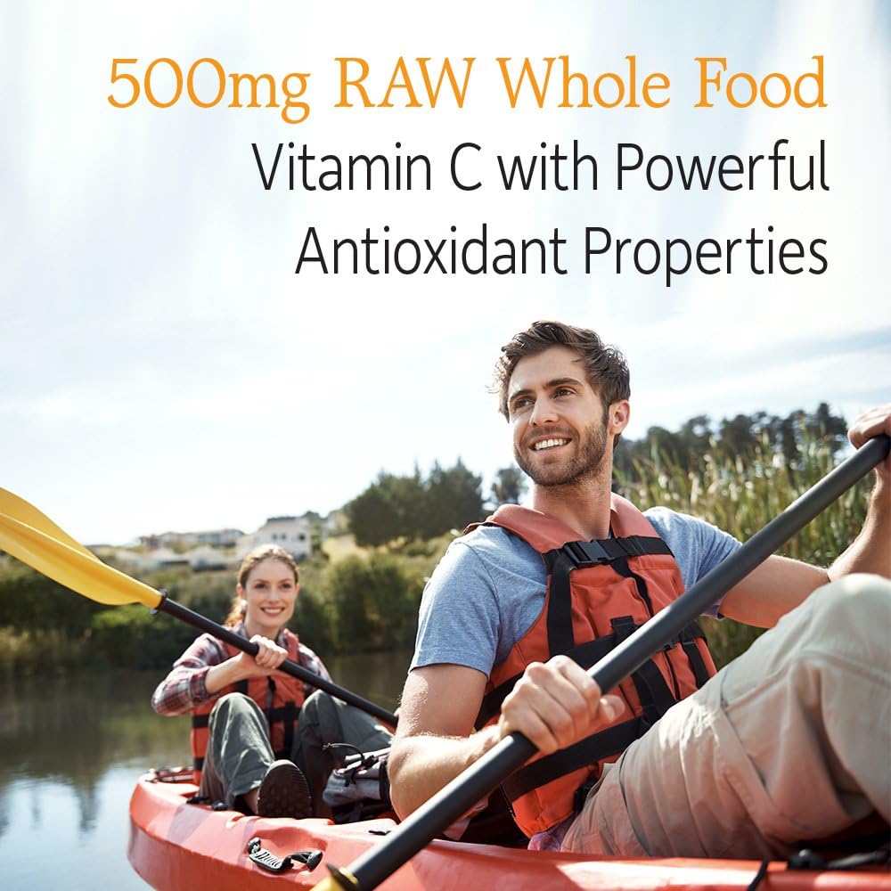 Garden of Life Raw Vitamin C Capsules - 60 Count, 500mg Whole Food Vitamin C with Probiotics, Fruit & Veggie Blend - Vegan, Gluten Free C Vitamin Supplement for Adults