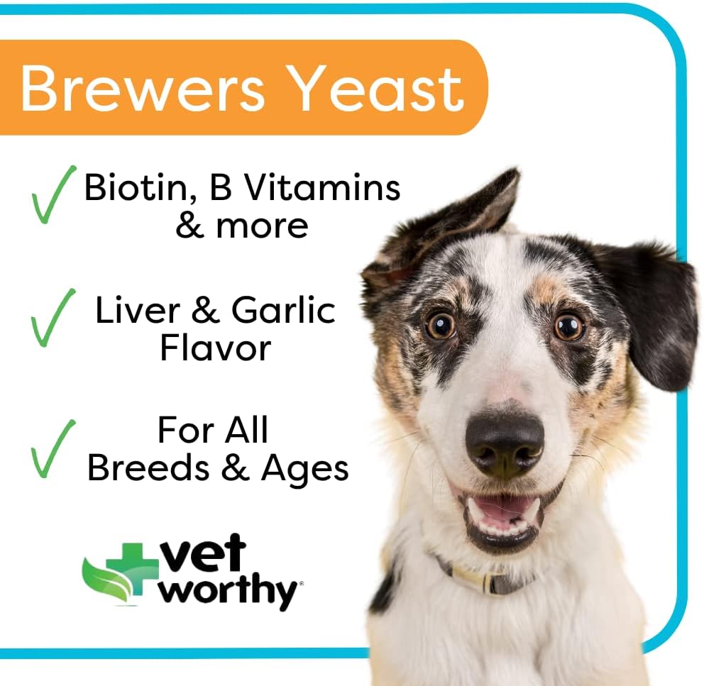 Garlic Flavored Brewers Chewables for Dogs - Skin & Coat Support Supplement with Zinc, Iron, Vitamin B Complex - 300 Tablets