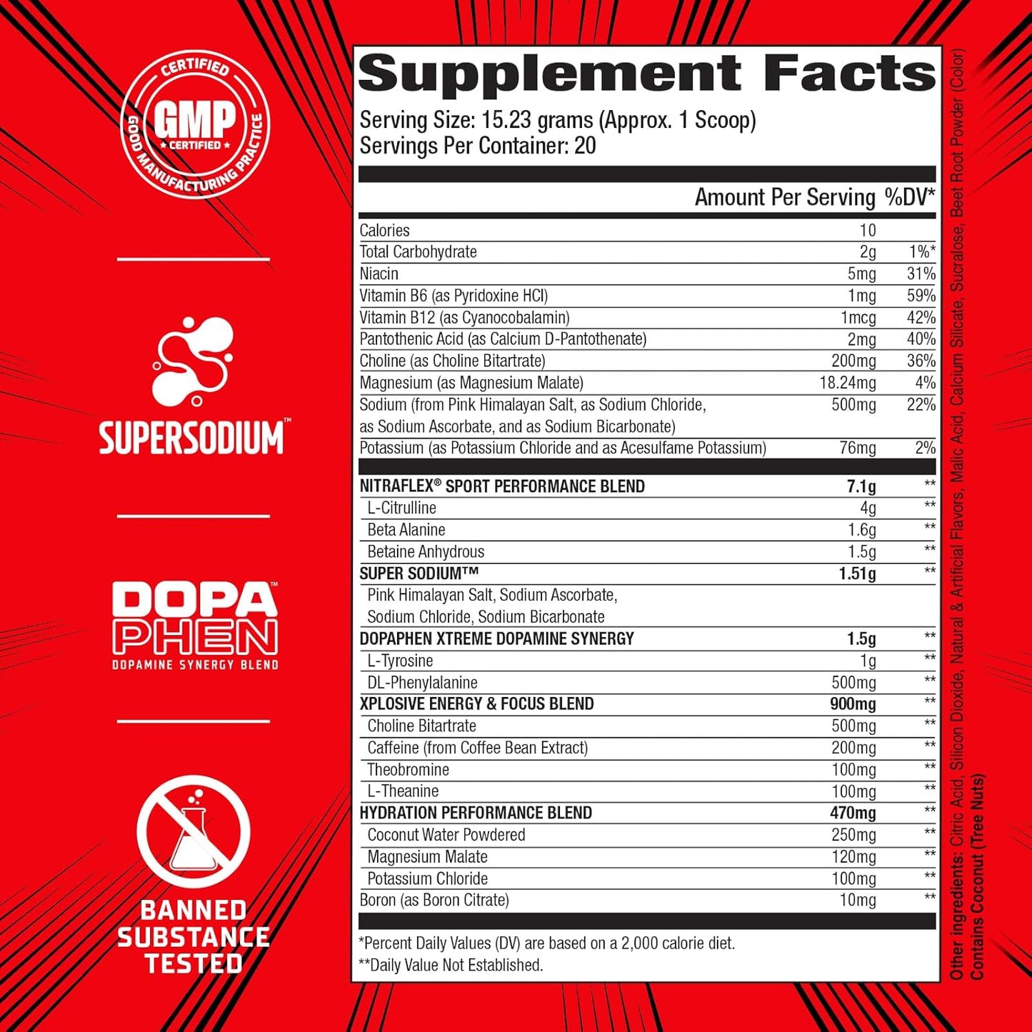 GAT SPORT Nitraflex Sport Fruit Punch Pre-Workout Powder - Banned Substance Tested, Informed Choice Certified - 20 Servings