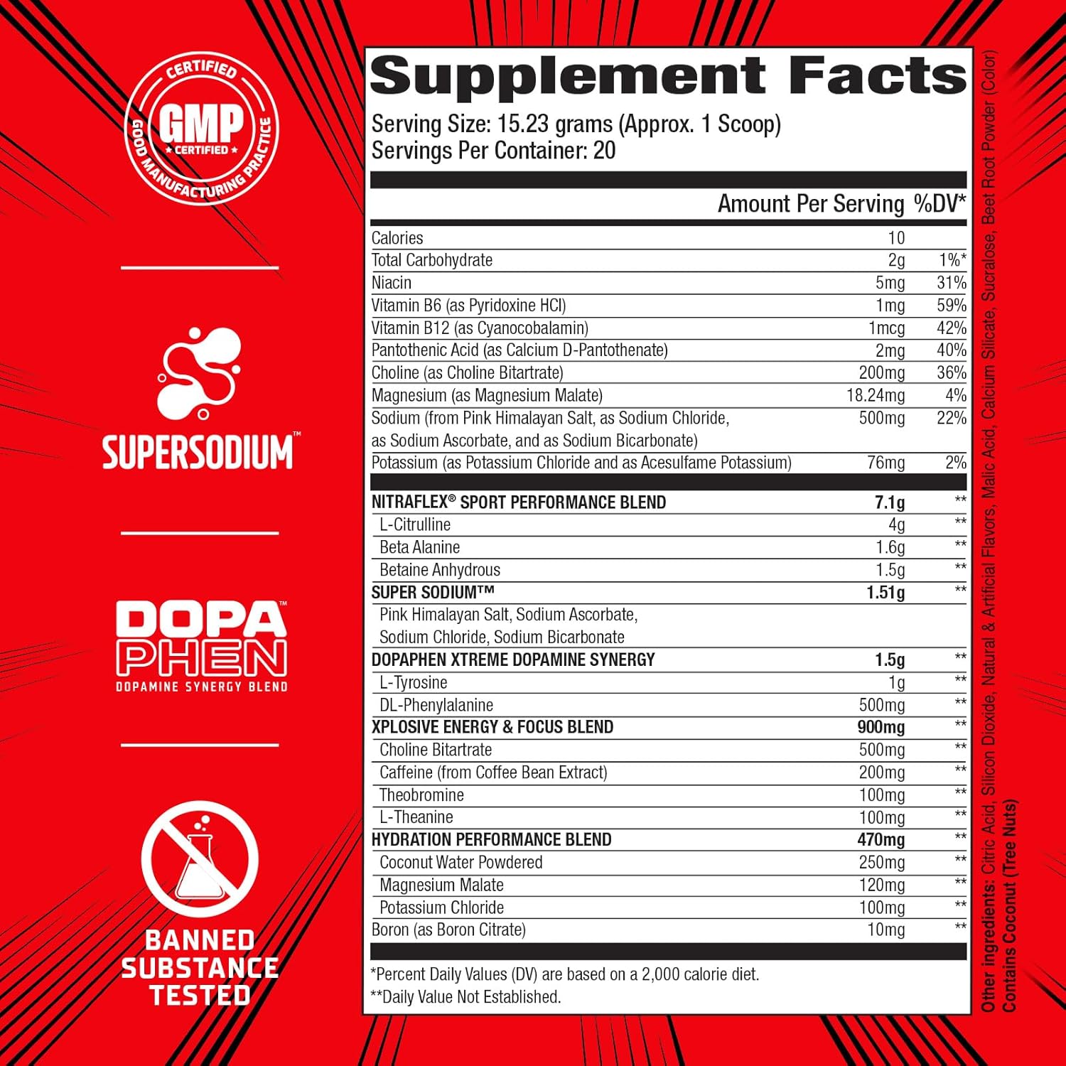 GAT SPORT Nitraflex Sport Fruit Punch Pre-Workout Powder - Banned Substance Tested, Informed Choice Certified - 20 Servings