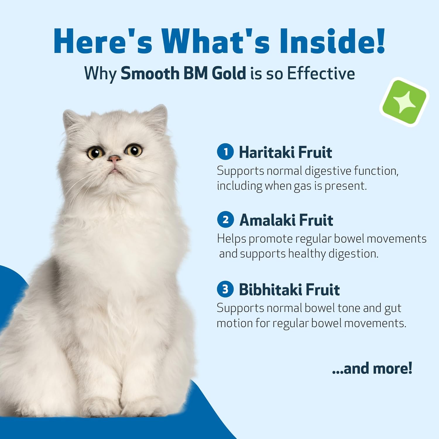 Gentle Constipation Relief for Cats - Natural Herbal Supplement 2 oz (59 ml) - Pet Wellbeing Smooth BM Gold