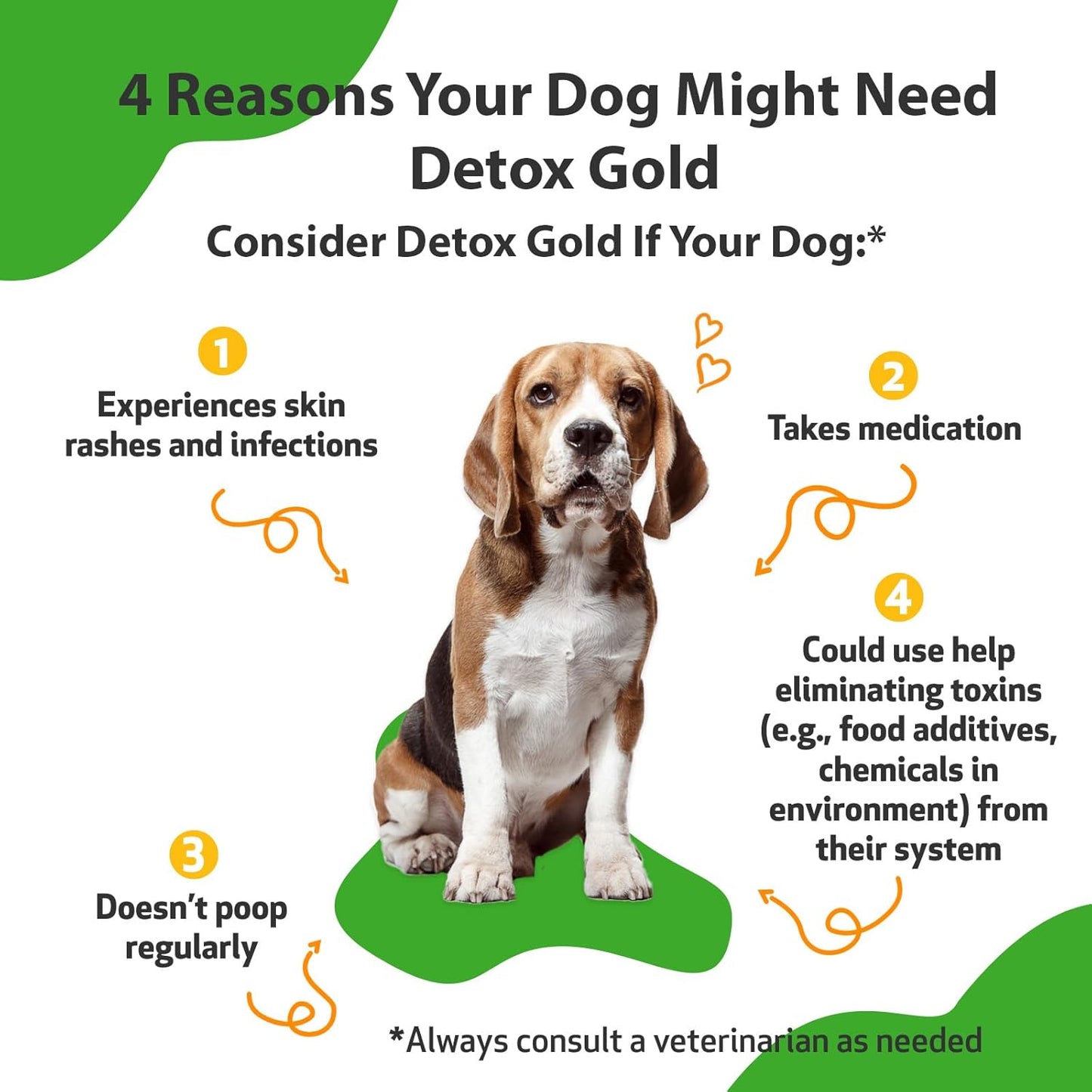 Gentle Detoxification & Immune Support Herbal Supplement for Dogs - Pet Wellbeing Detox Gold - Veterinarian Formulated - 2 oz (59 ml)