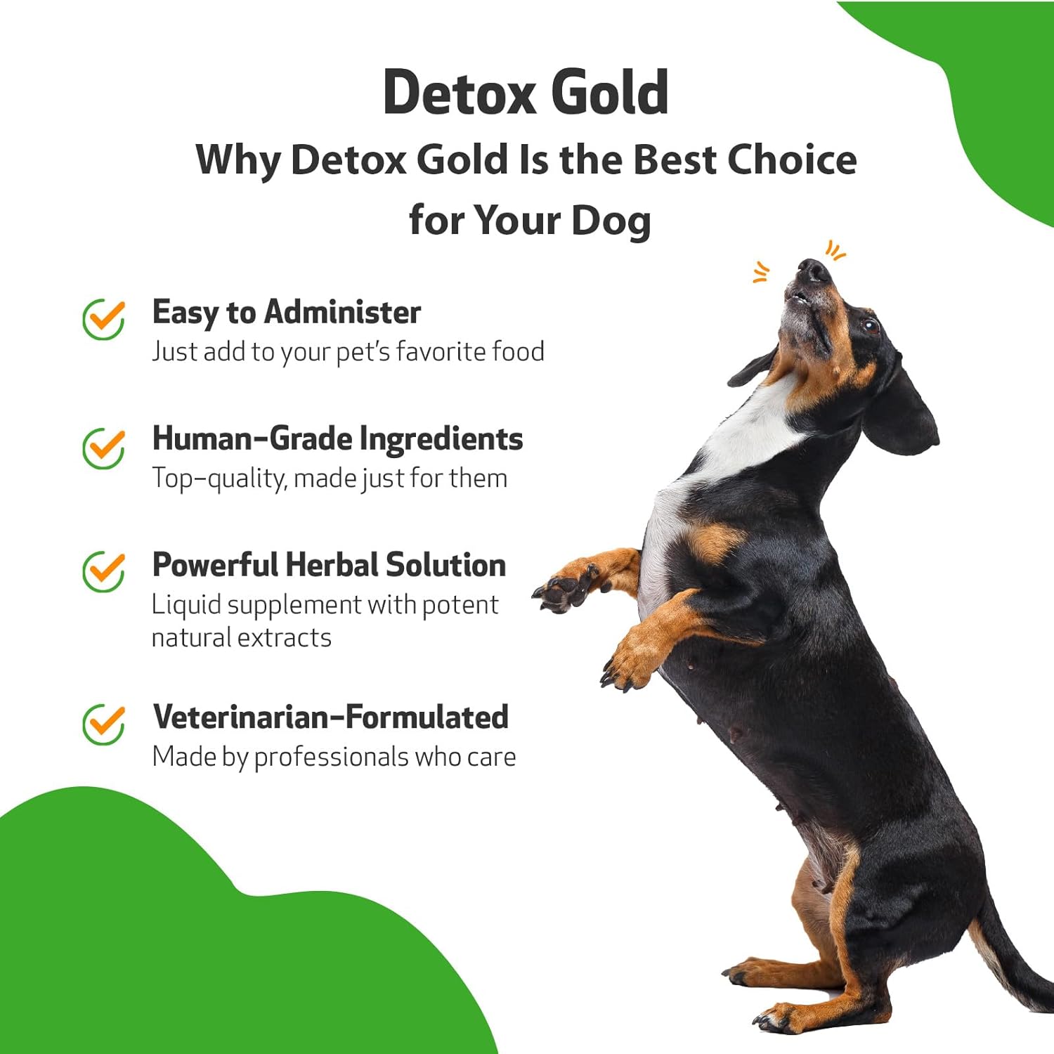 Gentle Detoxification & Immune Support Herbal Supplement for Dogs - Pet Wellbeing Detox Gold - Veterinarian Formulated - 2 oz (59 ml)