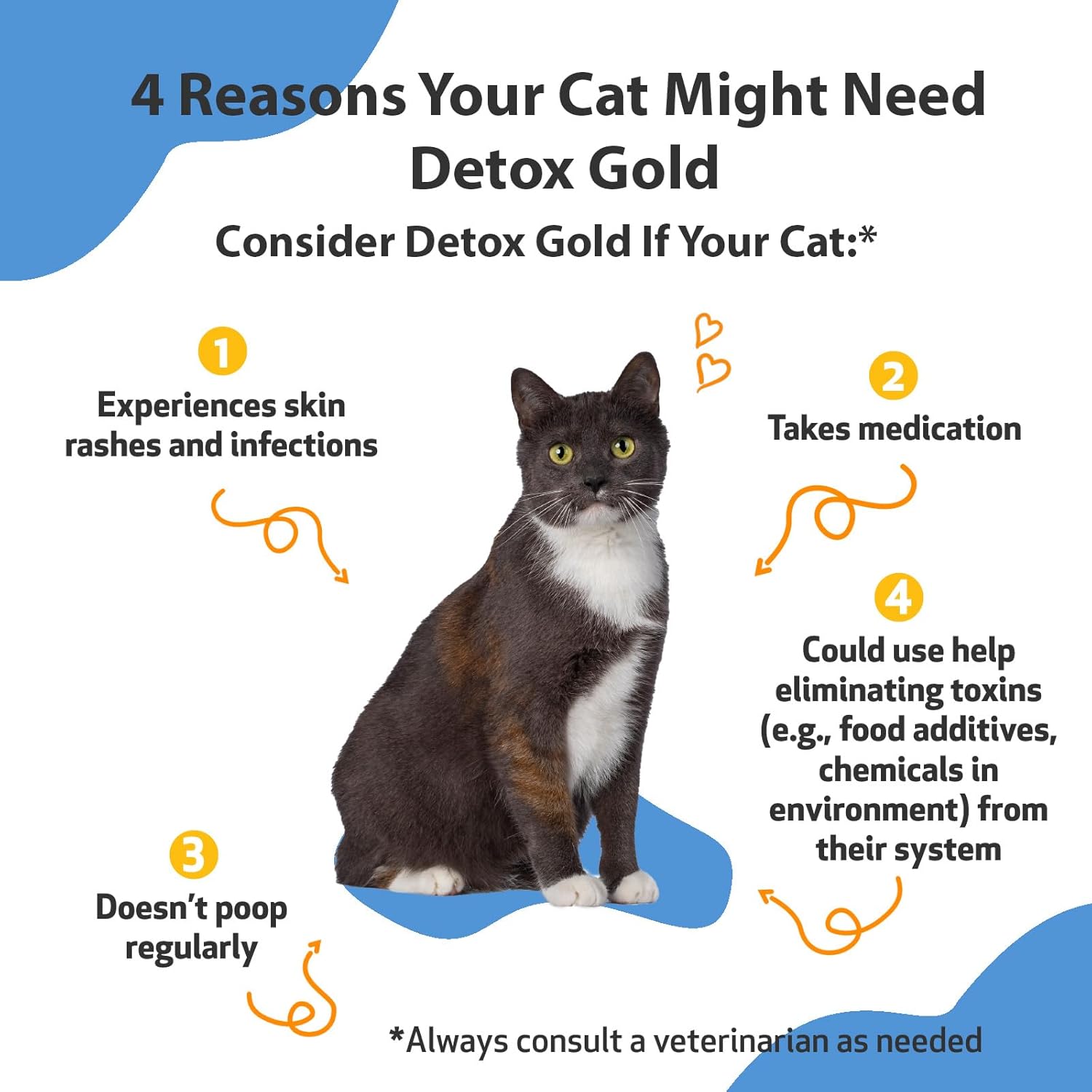 Gentle Detoxification Support for Cats with Pet Wellbeing Detox Gold - Immune System Care with Nettle, Blessed Thistle, Burdock Root - Herbal Supplement 2 oz