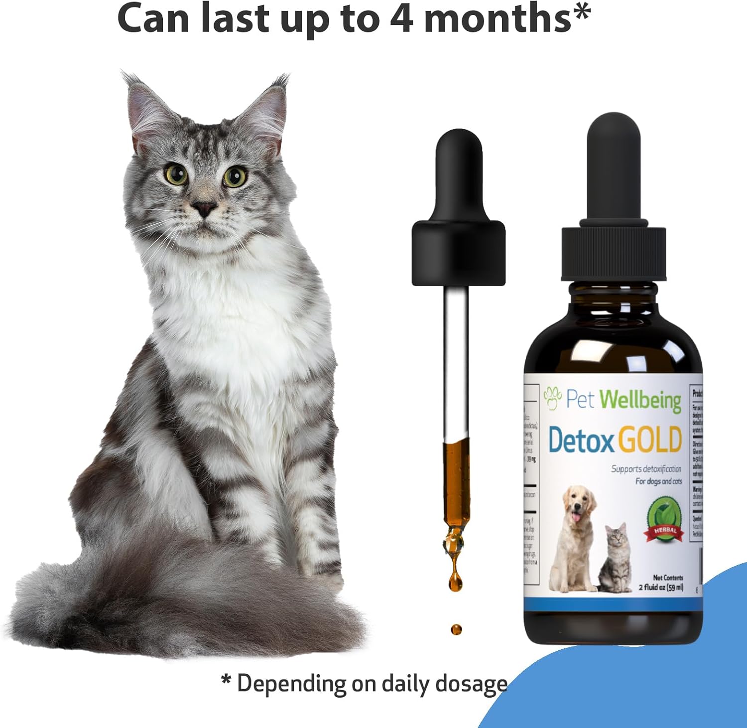 Gentle Detoxification Support for Cats with Pet Wellbeing Detox Gold - Immune System Care with Nettle, Blessed Thistle, Burdock Root - Herbal Supplement 2 oz