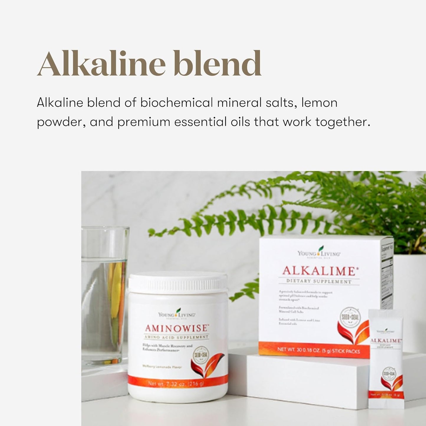 Gentle Digestive Wellness Supplement with Calcium, Potassium, & Sodium | Young Living AlkaLime Stick Packs | 30 ct