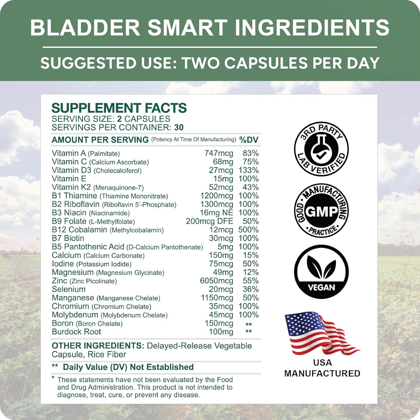 Gentle Multivitamin for Sensitive Bladders | Bladder Support with 12 Vitamins & 10 Minerals | Buffered Vitamin C & Burdock Root | 60 Capsules