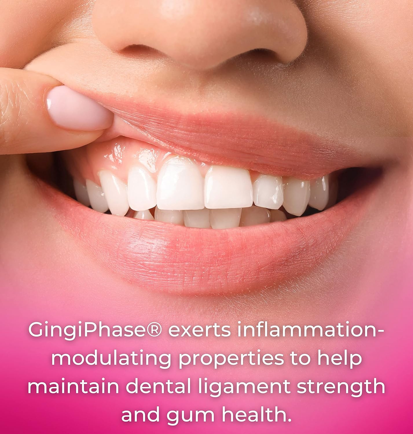 GingiPhase Herbal Dental Support Supplement for Healthy Gums, Teeth, and Jaw Circulation - 120 Capsules