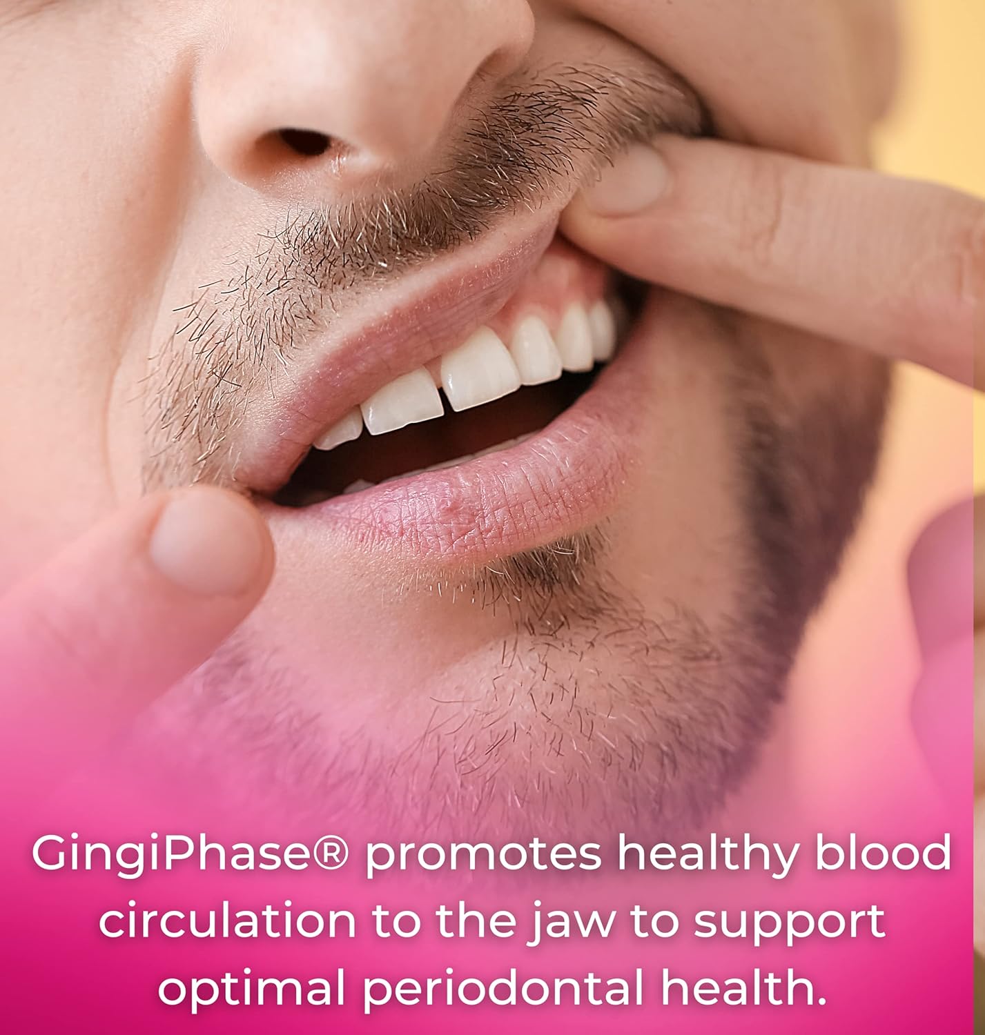GingiPhase Herbal Dental Support Supplement for Healthy Gums, Teeth, and Jaw Circulation - 120 Capsules