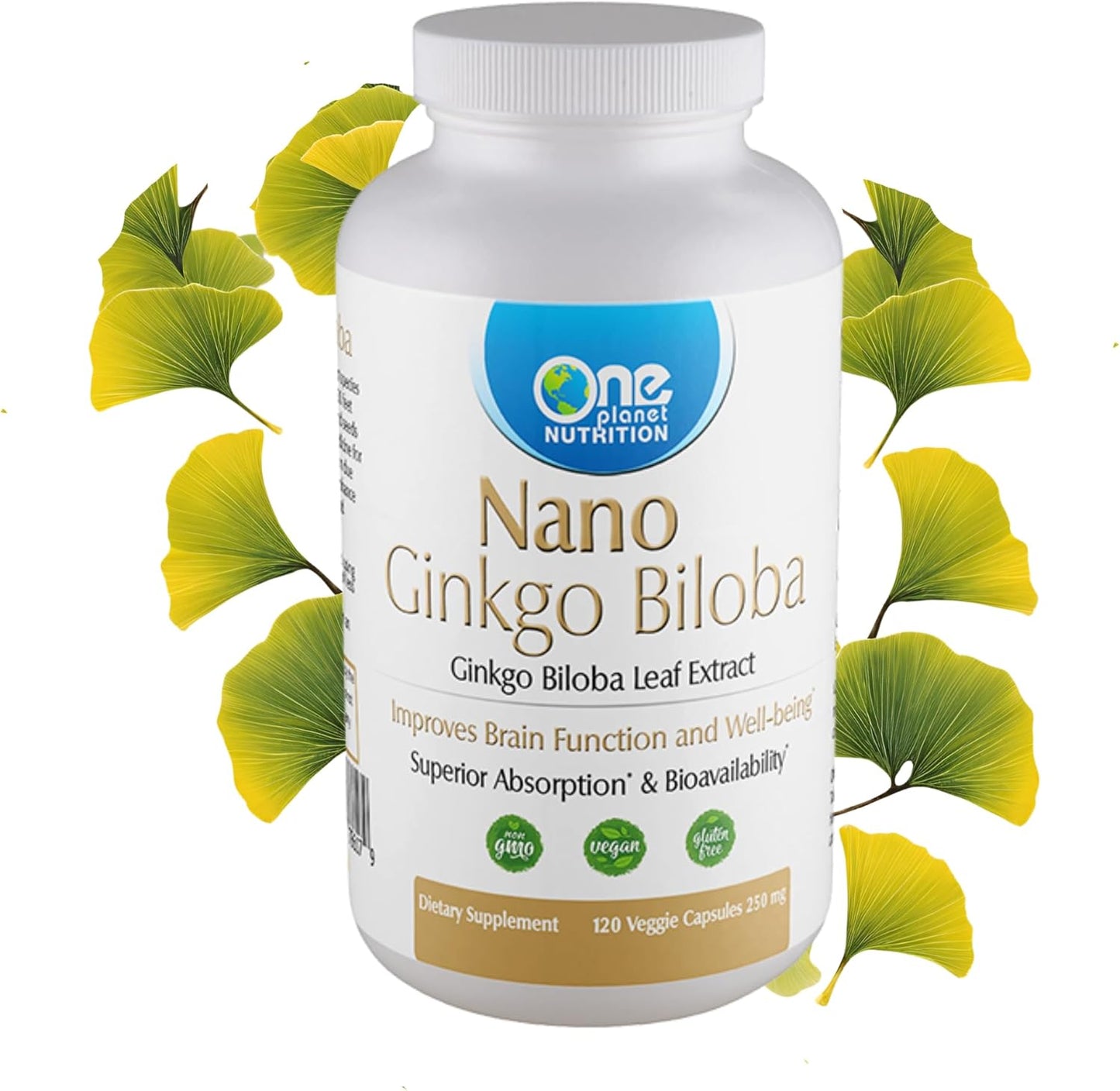 Ginkgo Biloba Extract Capsules for Concentration & Focus - Vegan, Gluten-Free, Non-GMO - 120 Capsules, 250mg