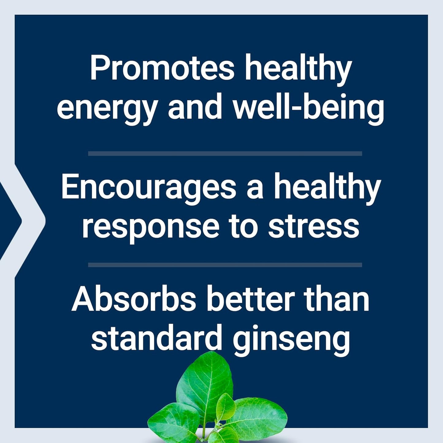Ginseng Energy Boost Capsules for Stress Management, Energy Support - 30 ct - Gluten-Free, Non-GMO, Vegetarian