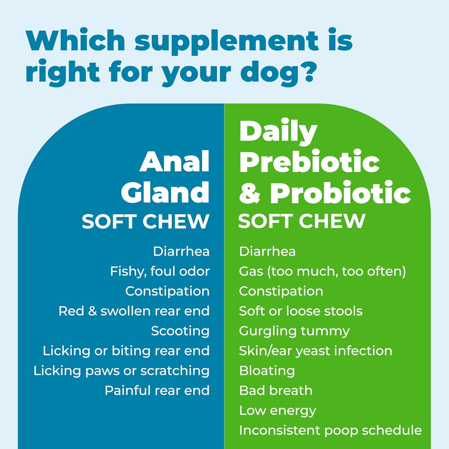Glandex Daily Probiotic Soft Chews for Dogs - Bacon Flavored Digestive Support for Gut Health and Immune System (60 Count)