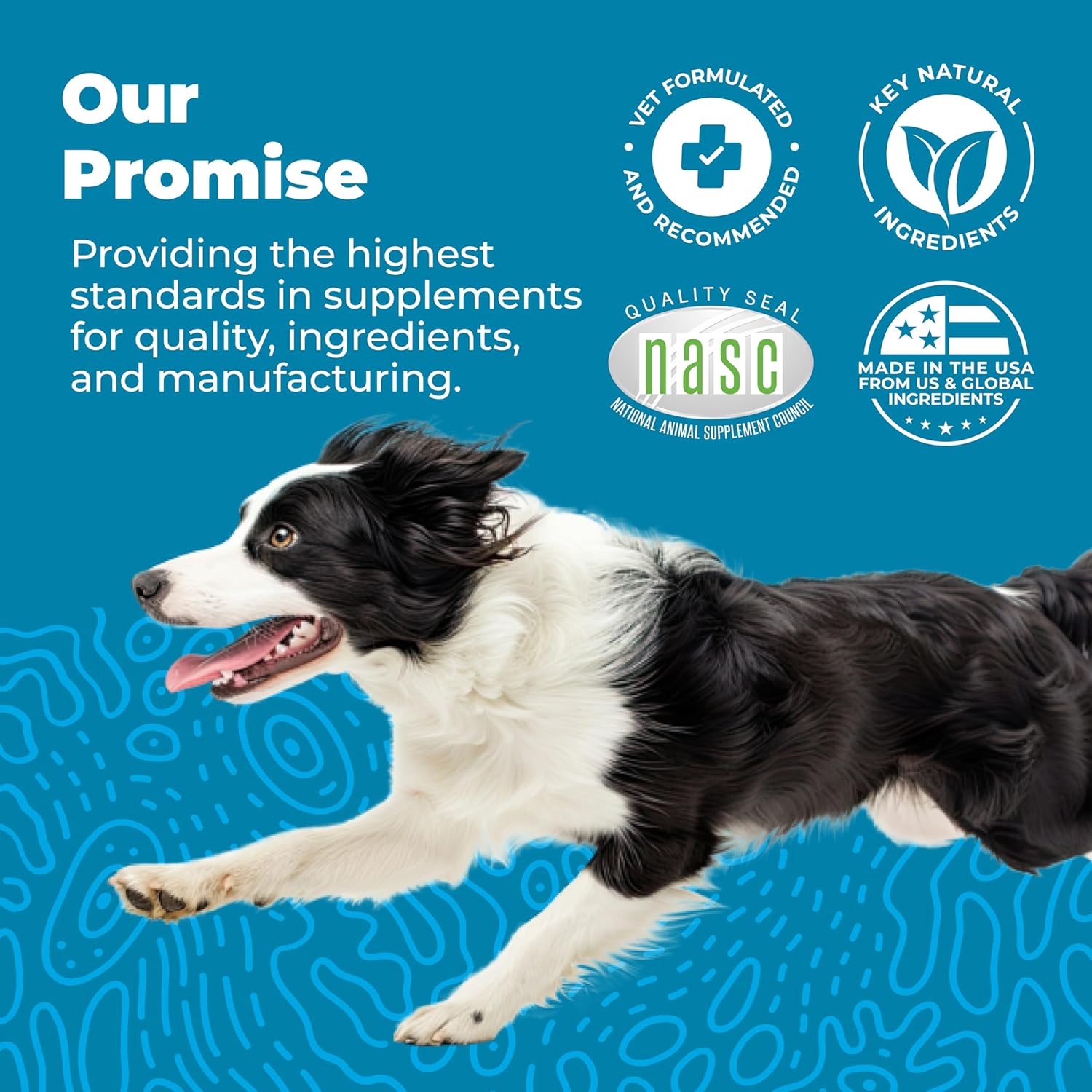 Glandex Daily Probiotic Soft Chews for Dogs - Bacon Flavored Digestive Support for Gut Health and Immune System (60 Count)