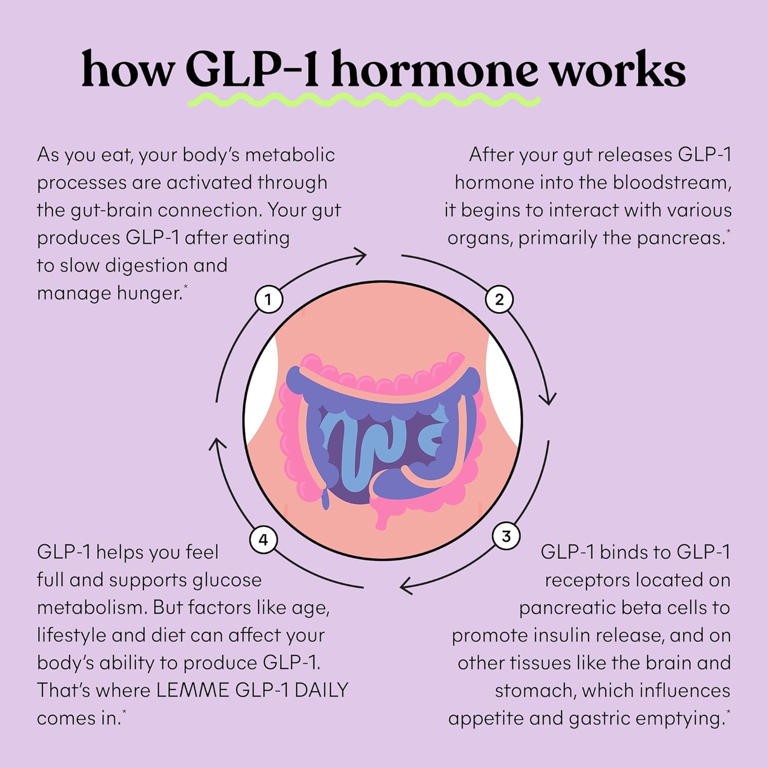 GLP-1 Daily Supplement for Hunger & Cravings, Fat Loss Support, 1 Month Supply