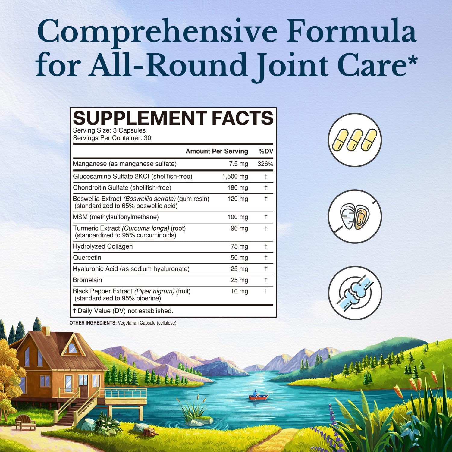 Glucosamine Chondroitin MSM Turmeric Collagen HA Boswellia Quercetin Bromelain 11-in-1 Joint Formula 90 Capsules