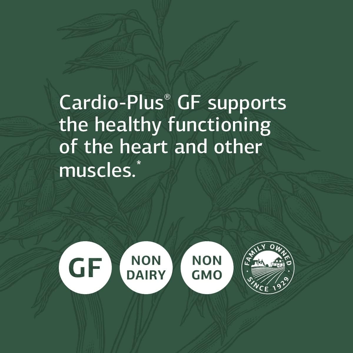 Gluten-Free Standard Process Cardio-Plus - Supports Heart Health with Vitamins C, E, B6, Riboflavin, Niacin, Choline, Selenium - 330 Tablets