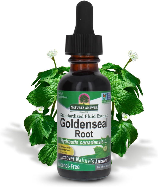 Goldenseal Root Herbal Supplement for a Healthy Immune System - Gluten-Free & Alcohol-Free (2 Pack, 1oz) by Nature's Answer