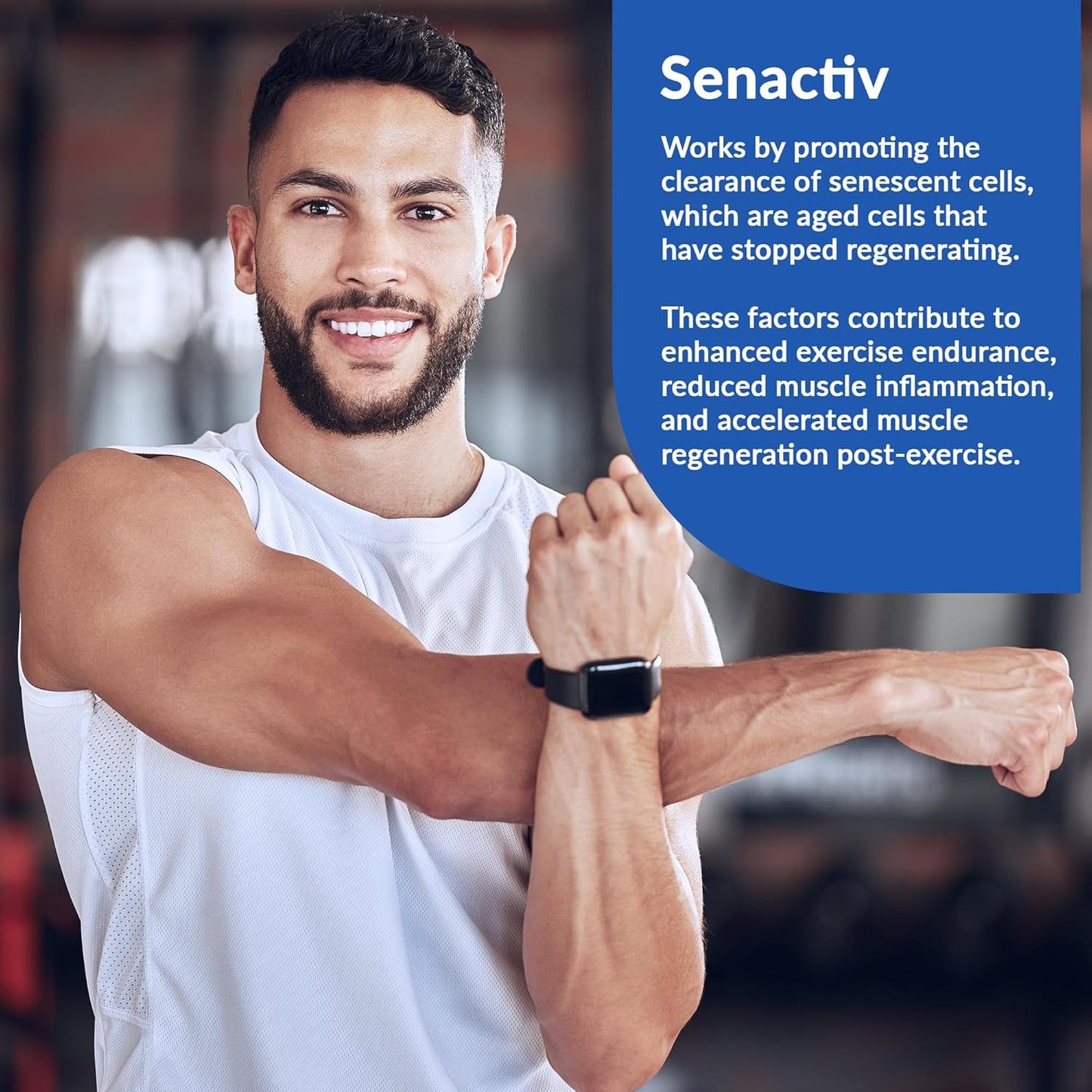 Granite Recovery Intra and Post-Workout Supplement - Fruit Blast Flavor - 10g Aminos, Electrolytes, Cluster Dextrin, Sensoril - Muscle Recovery & Growth - 20 Servings