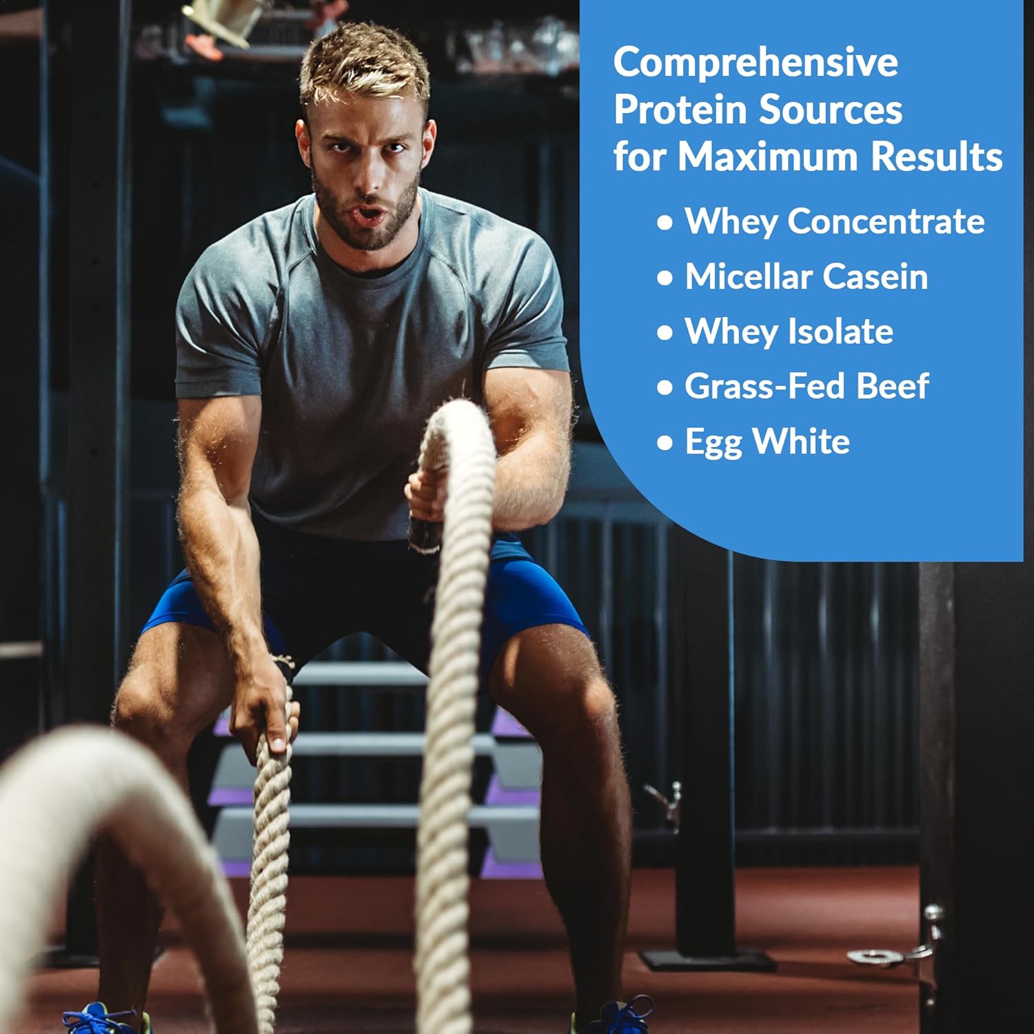 Granite Supplements Blueberry Muffin Whey Protein Powder with Casein for Muscle Building & Recovery - 23g Protein from 5 Sources - 30 Servings