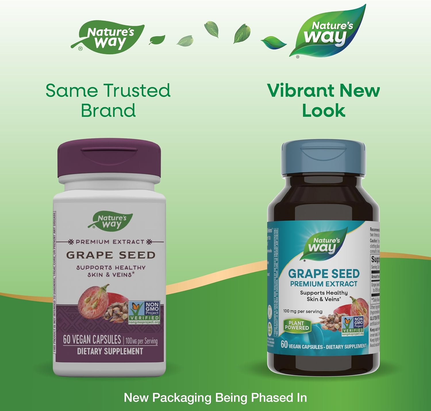 Grape Seed Premium Extract Capsules for Healthy Skin & Veins, Antioxidant Support, Non-GMO, 60 Vegan Capsules