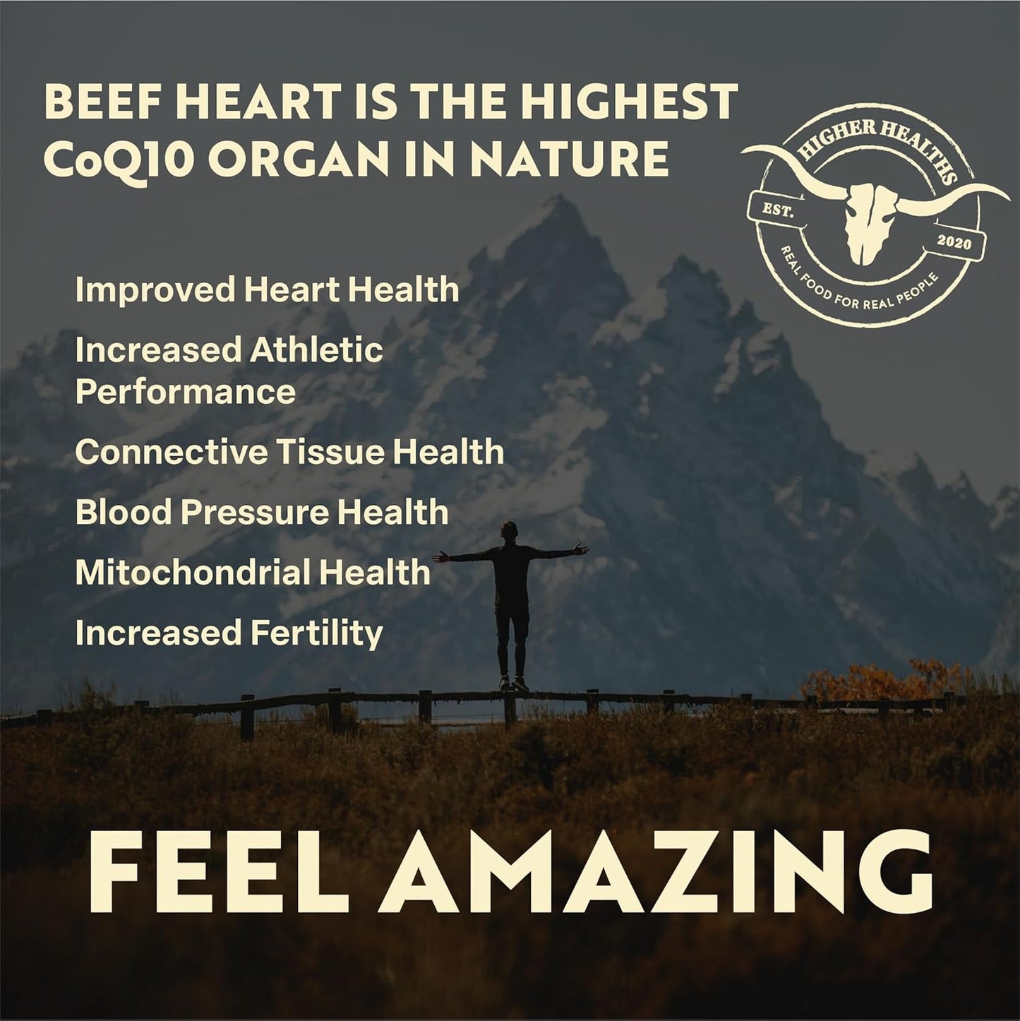 Grass Fed Beef Heart Supplement with CoQ10 - 180 Capsules - Non GMO USDA Certified - Natural Heart Health for Women and Men