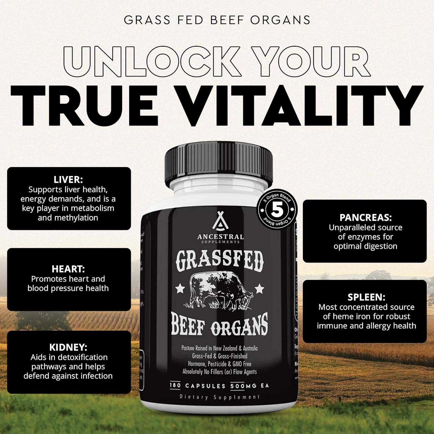 Grass Fed Beef Organ Supplement for Whole Body Wellness - Liver, Heart, Kidney, Pancreas, Spleen - Non-GMO, 180 Capsules