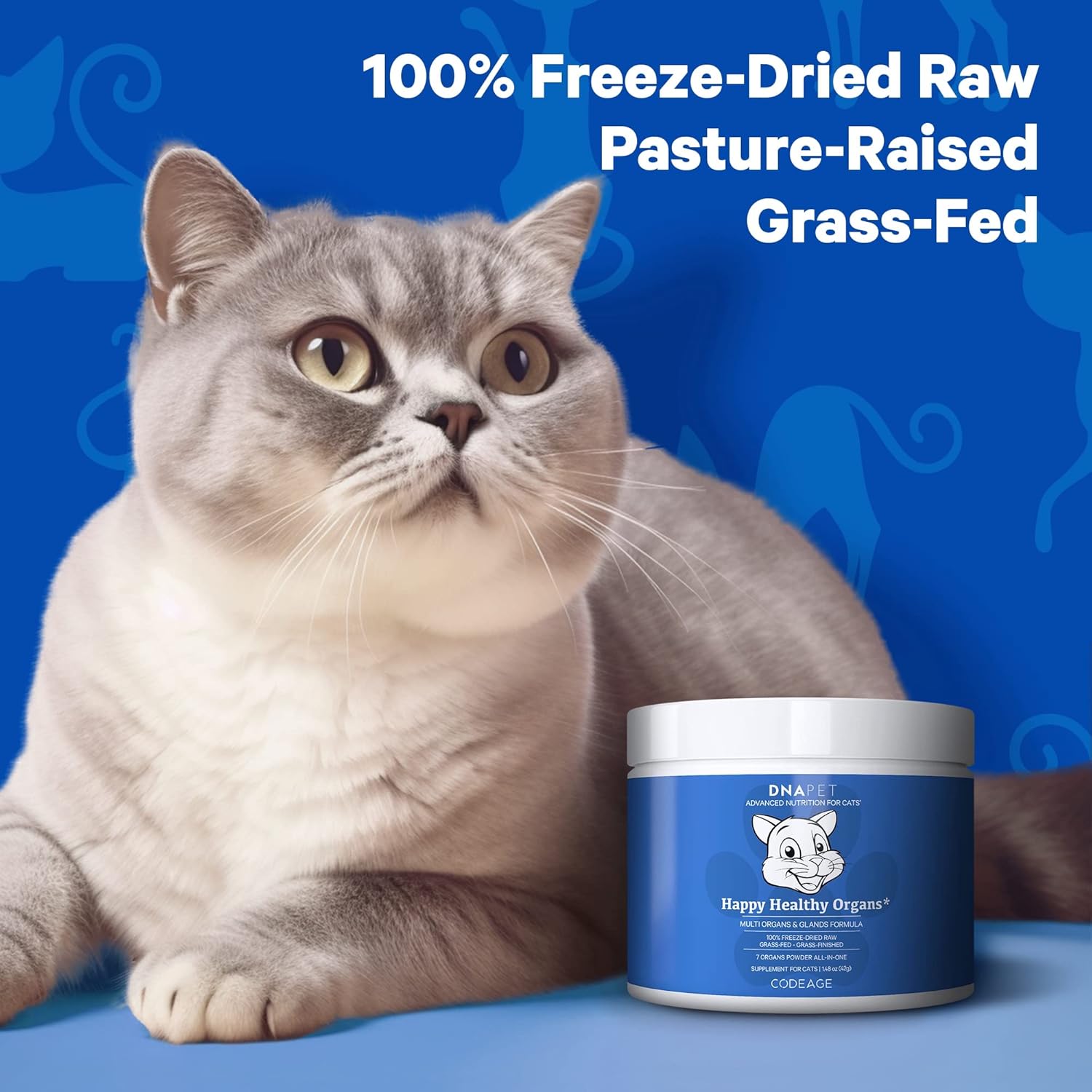 Grass-Fed Bovine Organ Supplement for Cats with Vitamins & Minerals for Healthy Joints - 1.48 oz