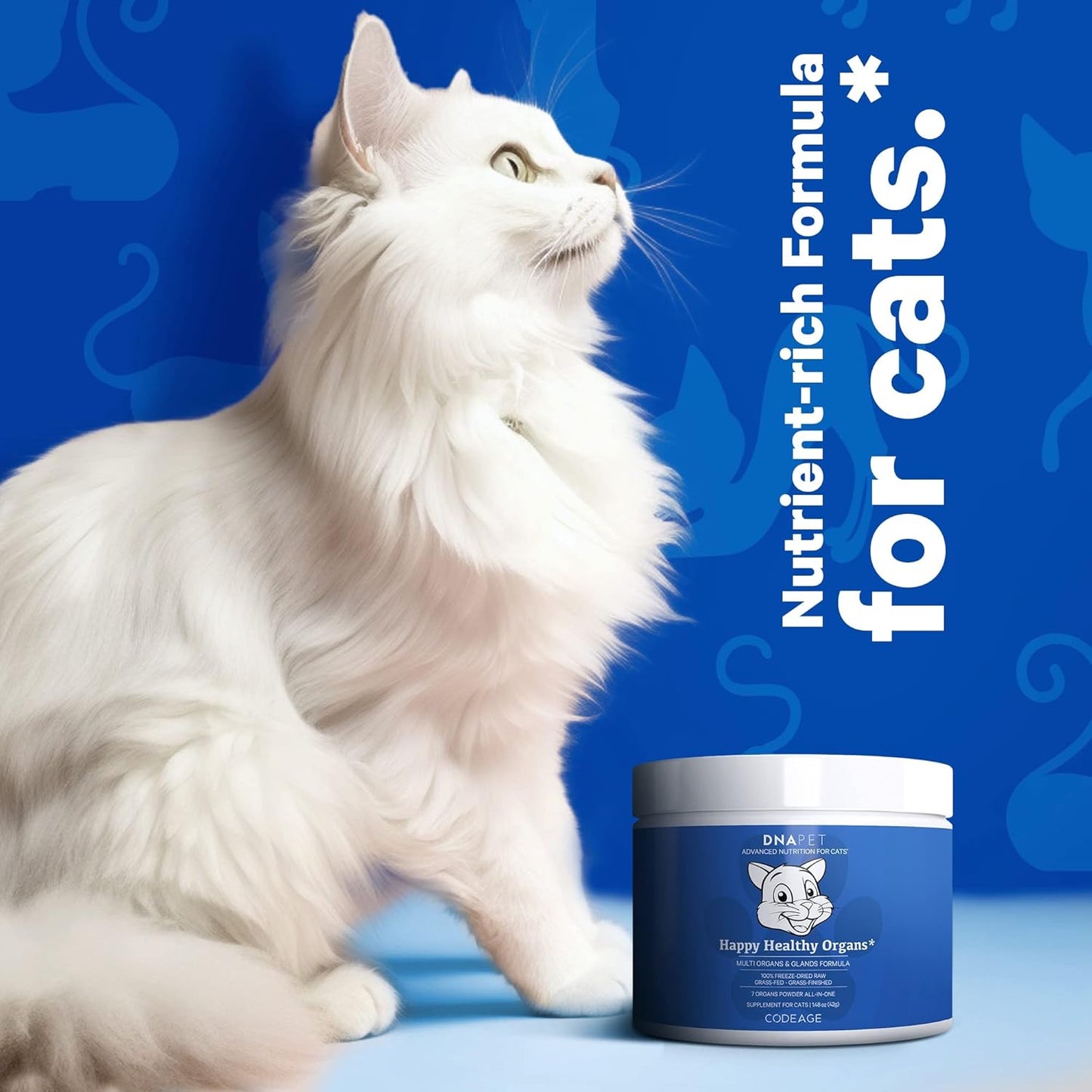 Grass-Fed Bovine Organ Supplement for Cats with Vitamins & Minerals for Healthy Joints - 1.48 oz