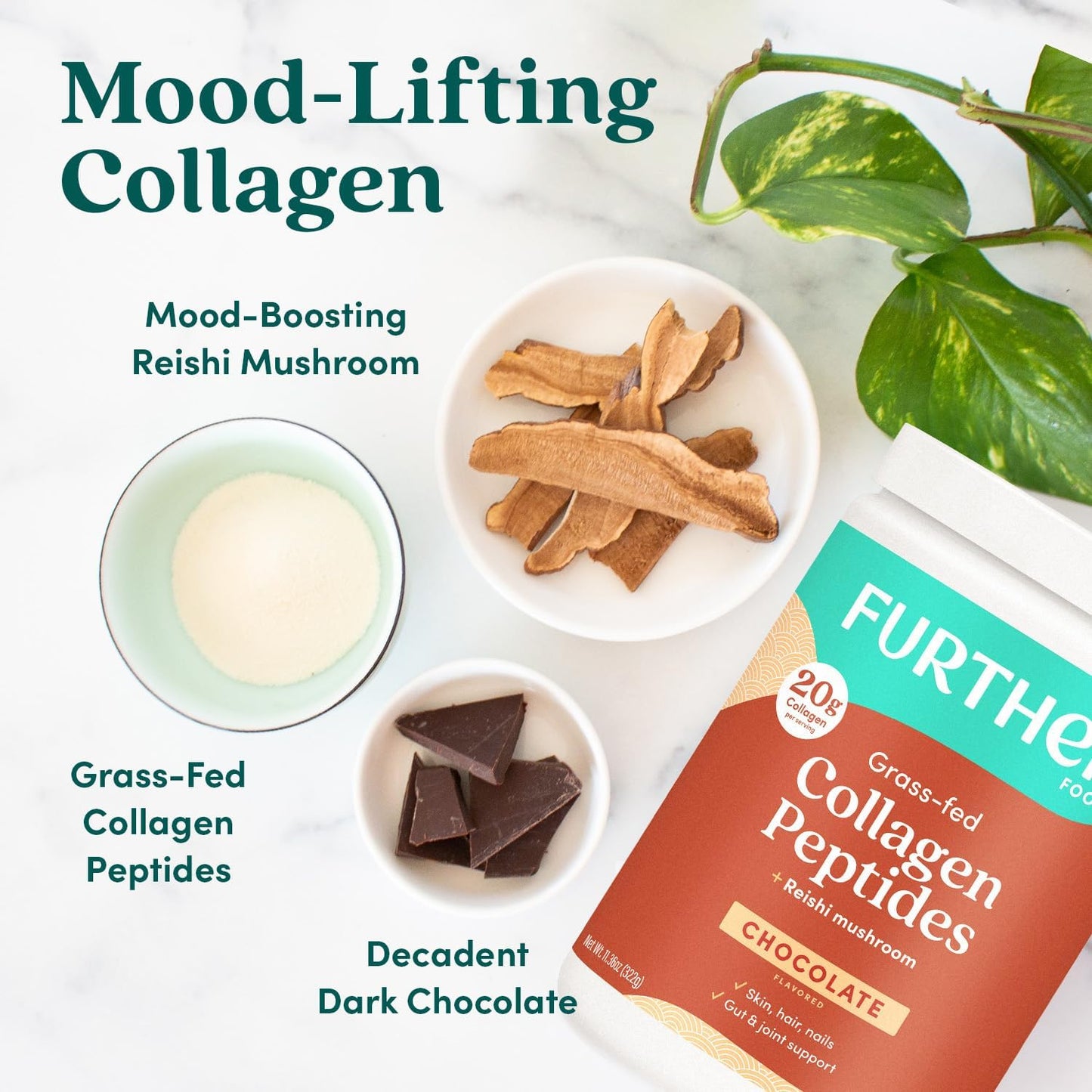 Grass-Fed Chocolate Collagen Peptides Stick Packs for Gut Health + Joint Support, Hair, Skin, Nails - Paleo Keto Sugar-Free Powder 9.74 oz