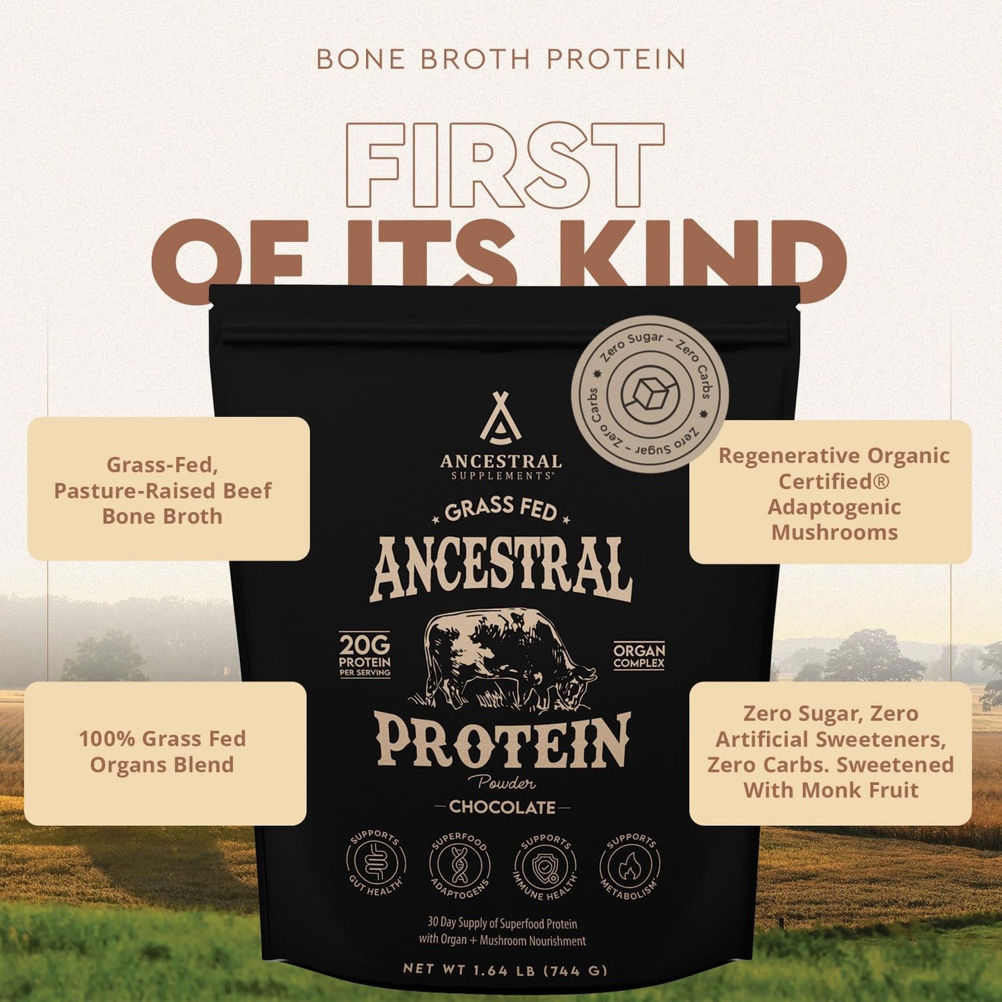 Grass Fed Chocolate Protein Powder with Beef Bone Broth, Beef Organs, and Organic Mushrooms - Supports Gut Health, 20g Protein per Serving, 30-Day Supply