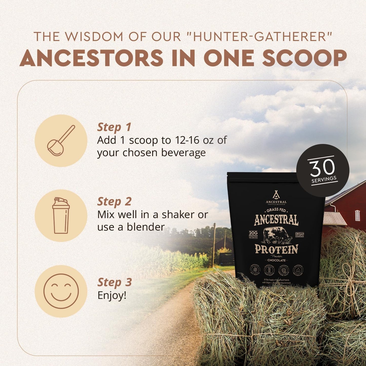 Grass Fed Chocolate Protein Powder with Beef Bone Broth, Beef Organs, and Organic Mushrooms - Supports Gut Health, 20g Protein per Serving, 30-Day Supply
