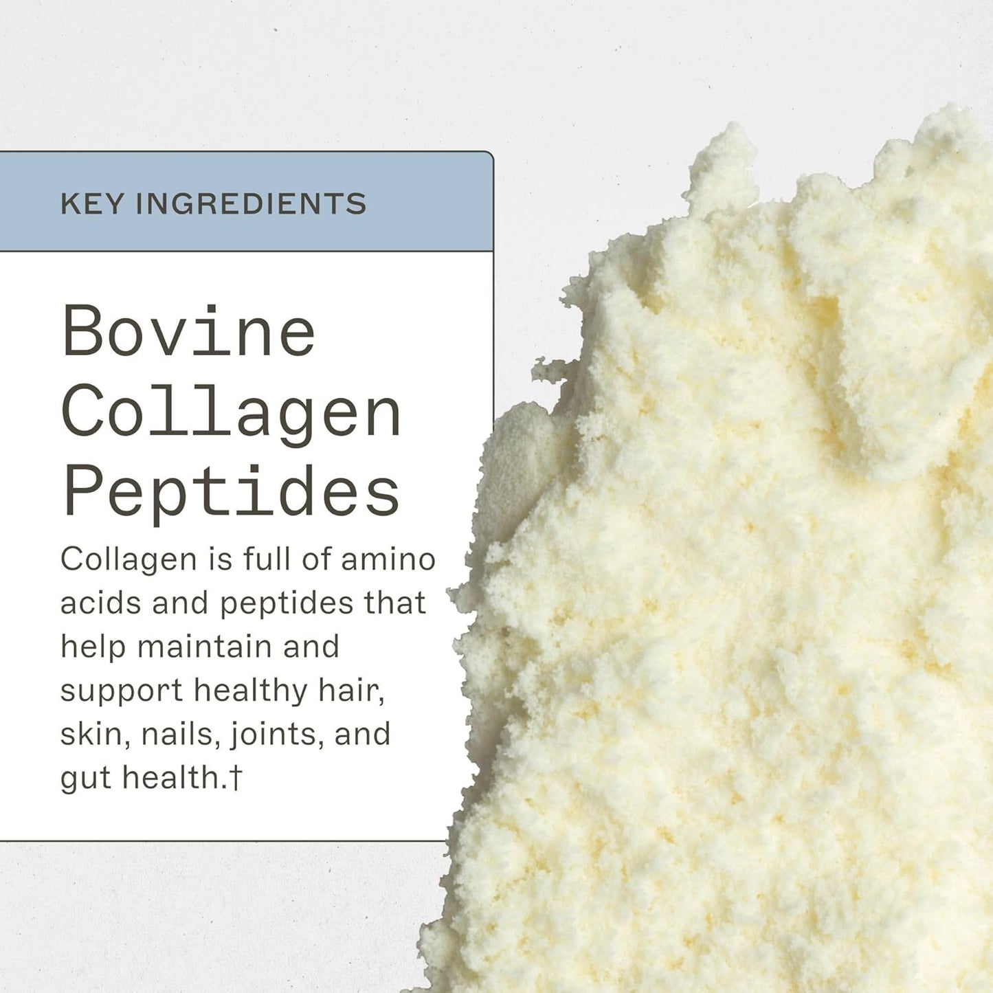 Grass Fed Collagen Peptides Powder by Amy Myers MD - Unflavored Hydrolyzed Collagen for Hair, Skin, and Nails - Supports Bone & Joint Health - Non-GMO, Gluten-Free, Paleo & Keto Friendly - 38 Servings