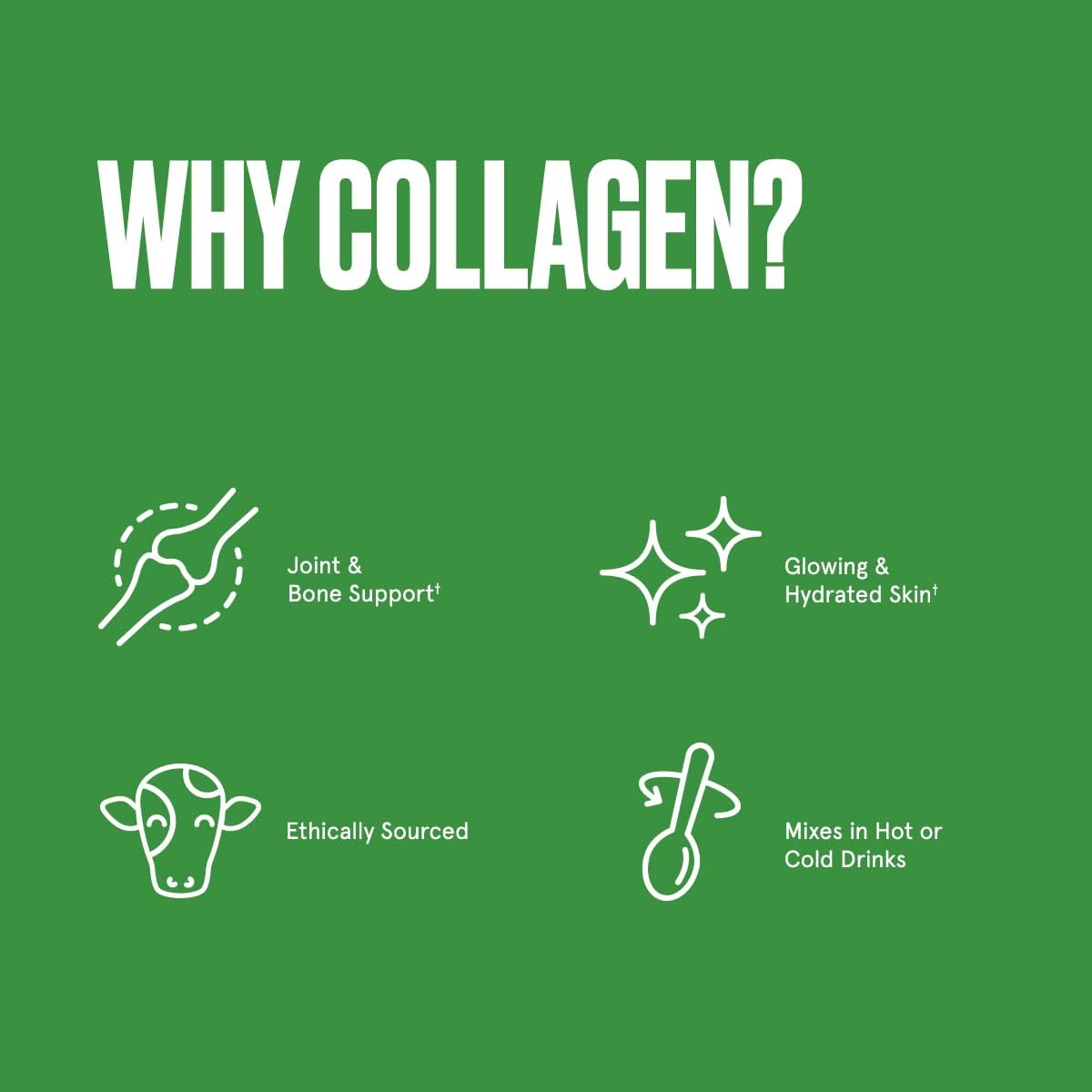 Grass Fed Collagen Protein Powder with Probiotic, Unflavored, 18g Protein, 17.6 Oz, Gut Health Support